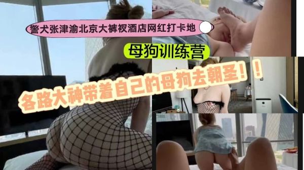 كلب الشرطة Zhang Jinyu Beijing Big Pants Hotel معسكر تدريب المشاهير على الإنترنت لتسجيل وصول المشاهير العديد من المشاهير يأخذون عاهراتهم في رحلة حج