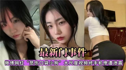 最新门事.件微博网红悲伤口袋小狗大尺度视频修手机惨遭泄露